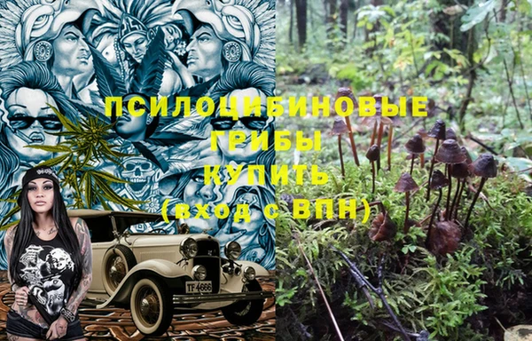 PSILOCYBIN Медвежьегорск