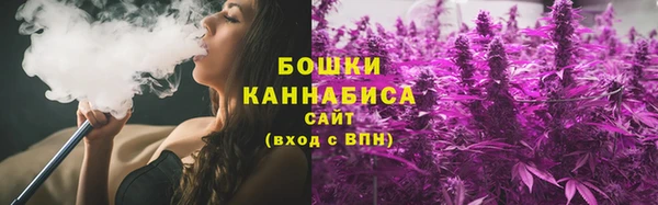 гашик Михайловск